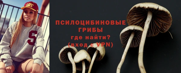 мяу мяу мука Гусев